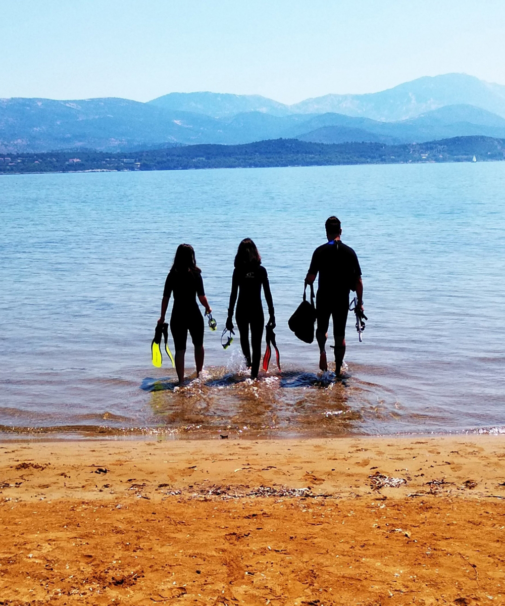 Loggos