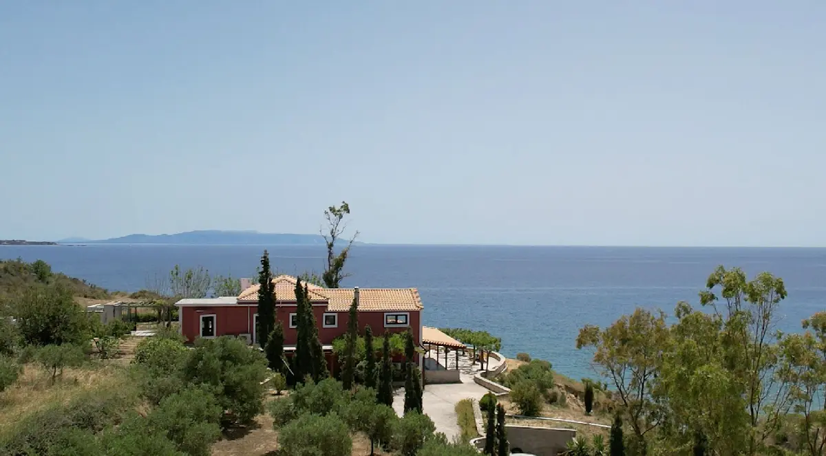 Slide Image